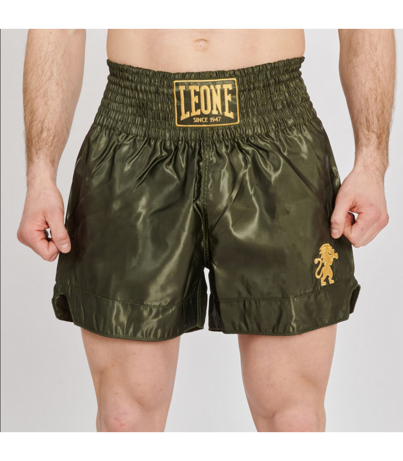 Leone - BASIC 2 KICK SHORTS - Green - Муай Тай Шорти - AB970